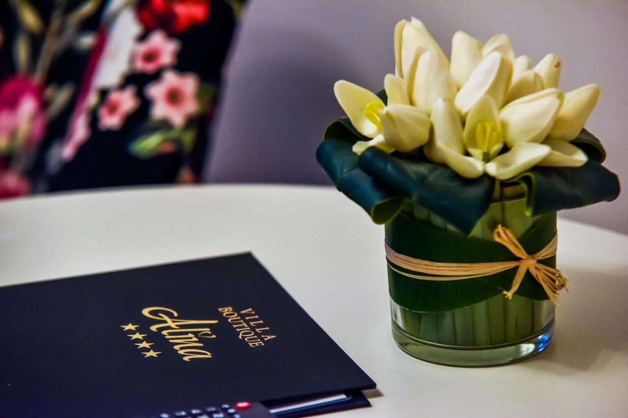 Villa Boutique Alina Deva Exteriér fotografie